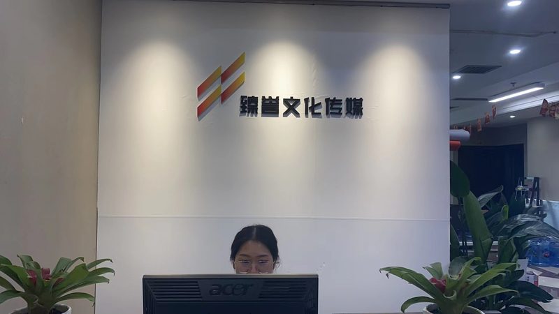 电商媒介投放：揭秘成功案例背后的策略与技巧
